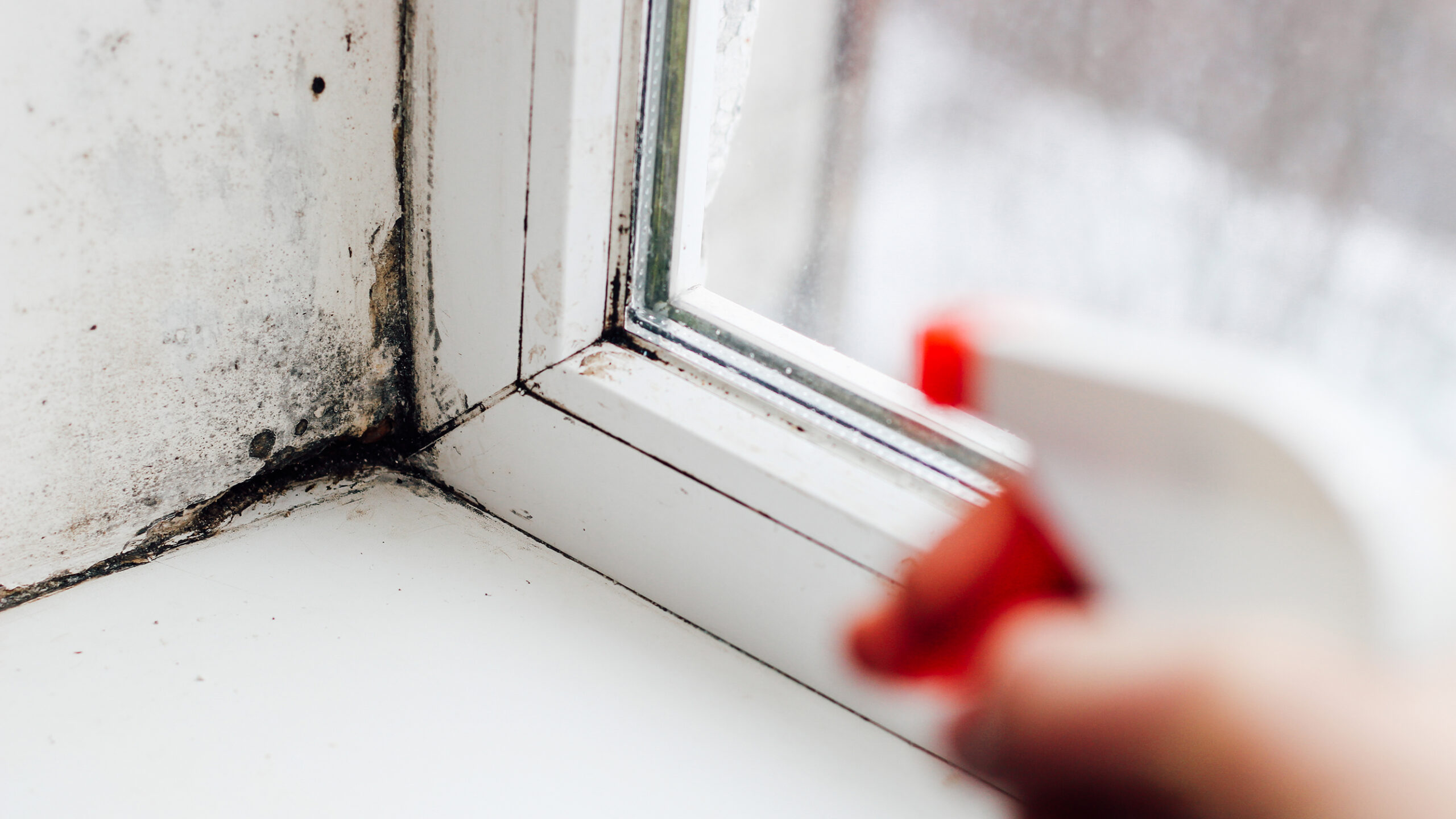 overlooked home hazards