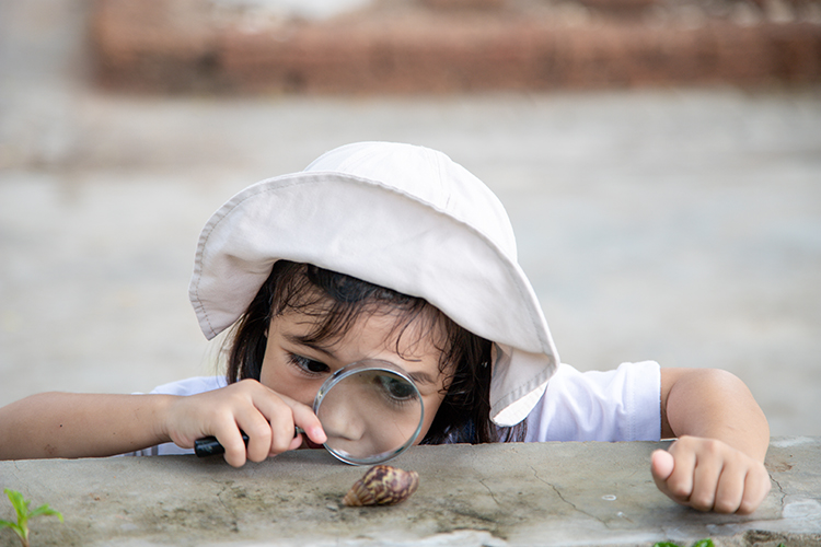 Child with magnifying glass examining snail - example of kid asking why questions through hands-on exploration